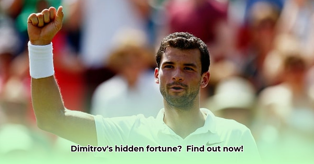 dimitrov-net-worth